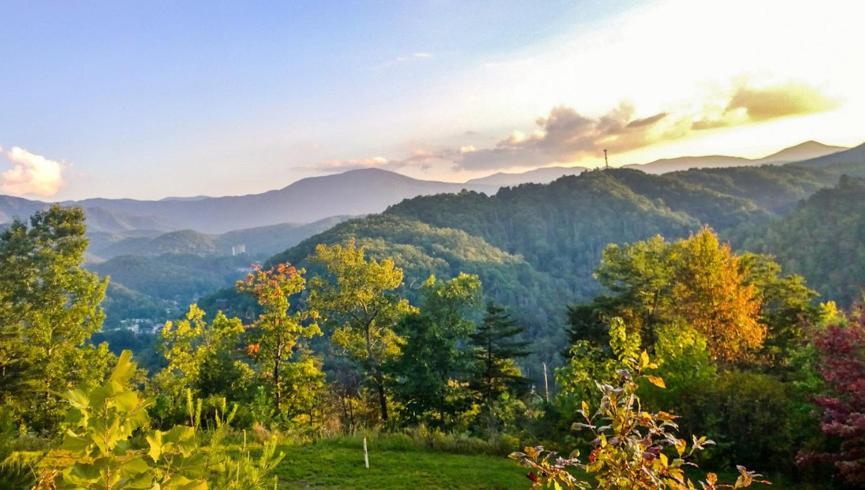 Deluxe Room In Westgate Resorts July 4Th Week Gatlinburg Bagian luar foto